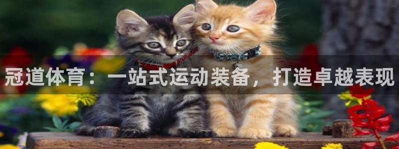 欧陆娱乐平台登陆地址是什么：冠道体育：一站式运动装备