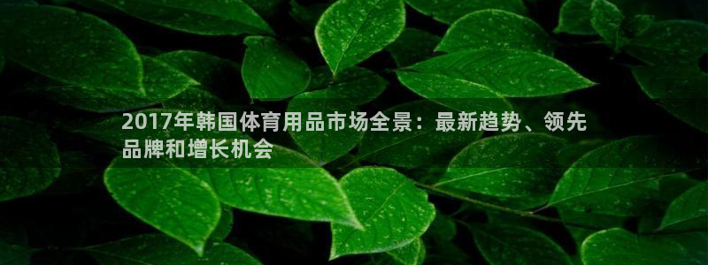 欧陆娱乐是那个旗下的品牌公司：2017年韩国体育用品