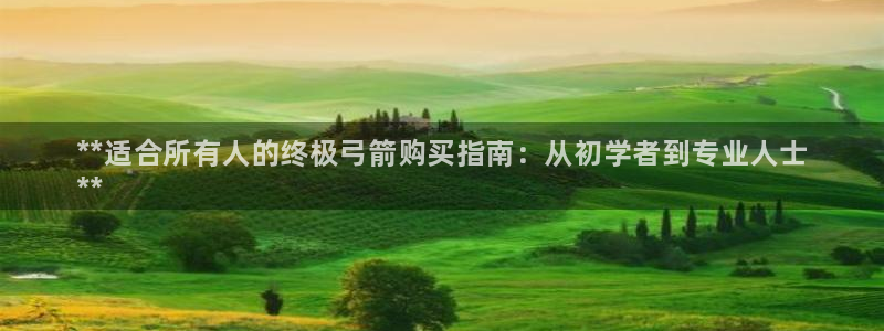 欧陆娱乐官网入口网址：**适合所有人的终极弓箭购买指