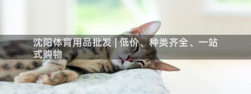 欧陆娱乐官方网站：沈阳体育用品批发 | 低价、种类齐全、一站