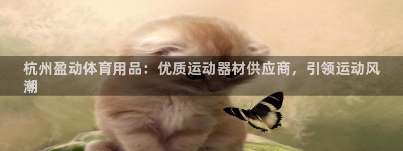 欧陆娱乐是资金盘吗：杭州盈动体育用品：优质运动器材供应商，引